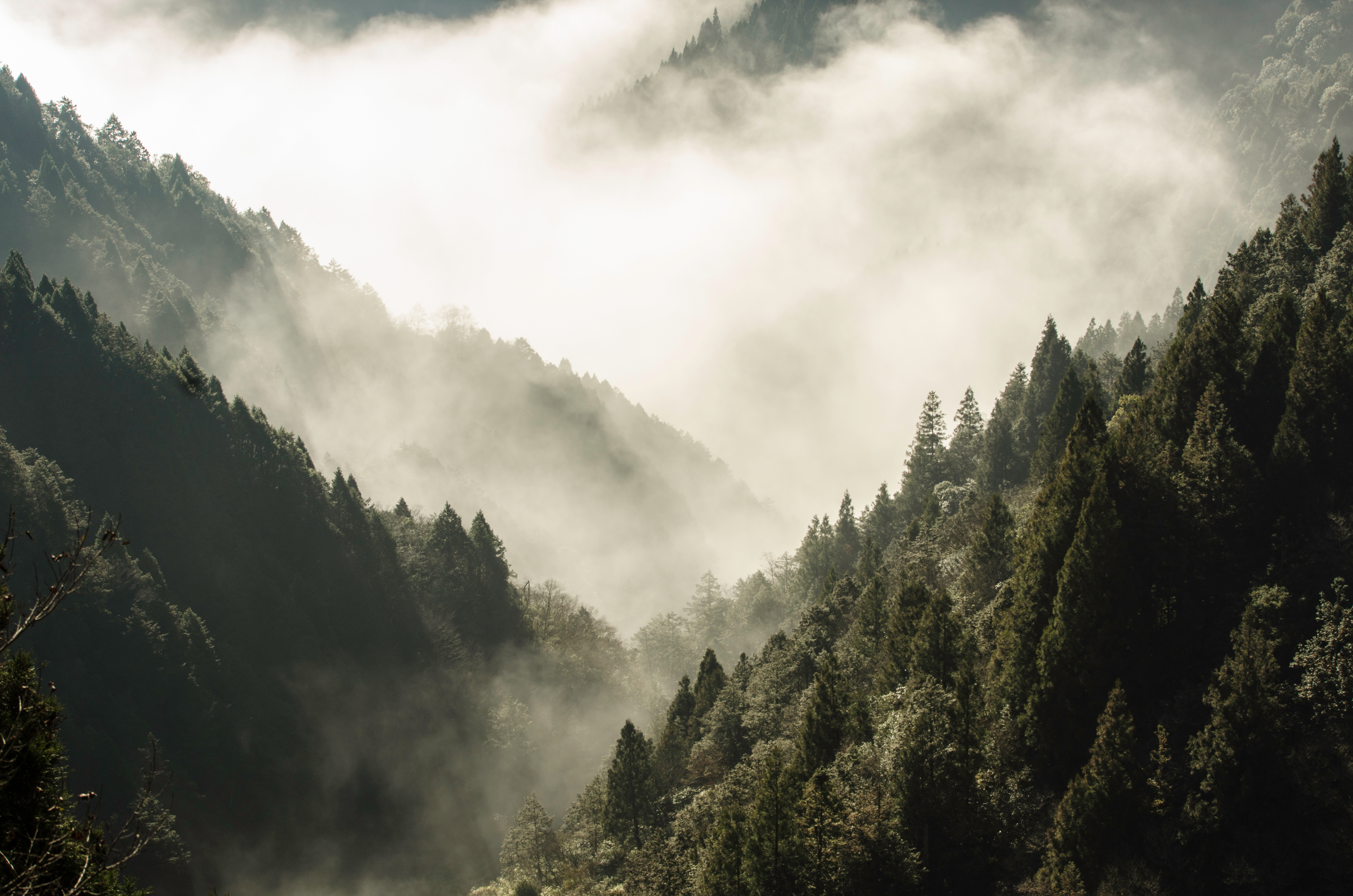 High mountain in mist and cloud