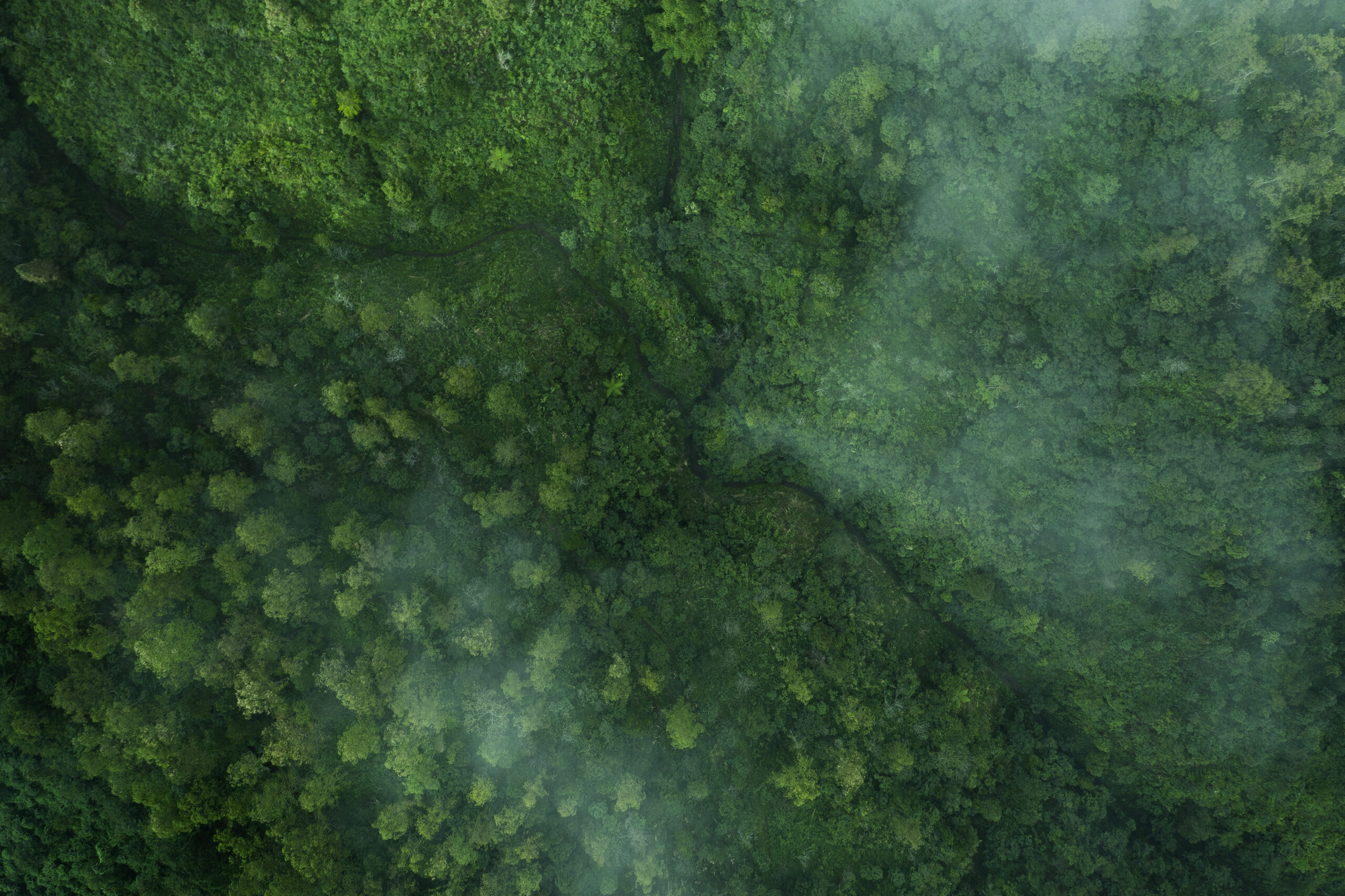 Green pattern